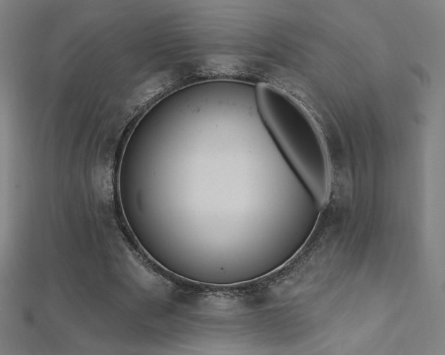 X0000112520489200908171358