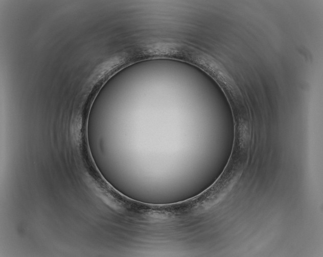 X0000112520490200908171358