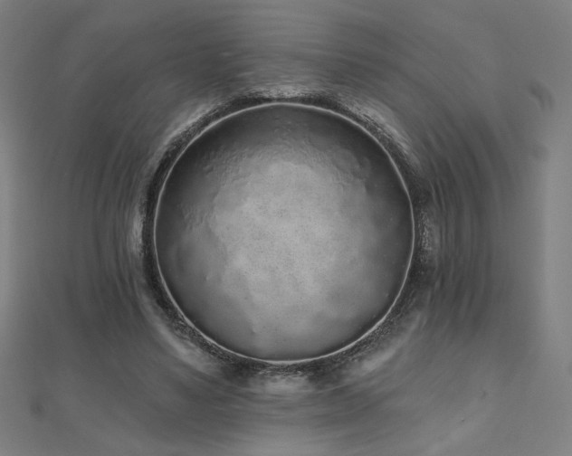 X0000112520491200908171358