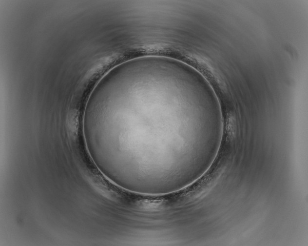 X0000112520495200908171358