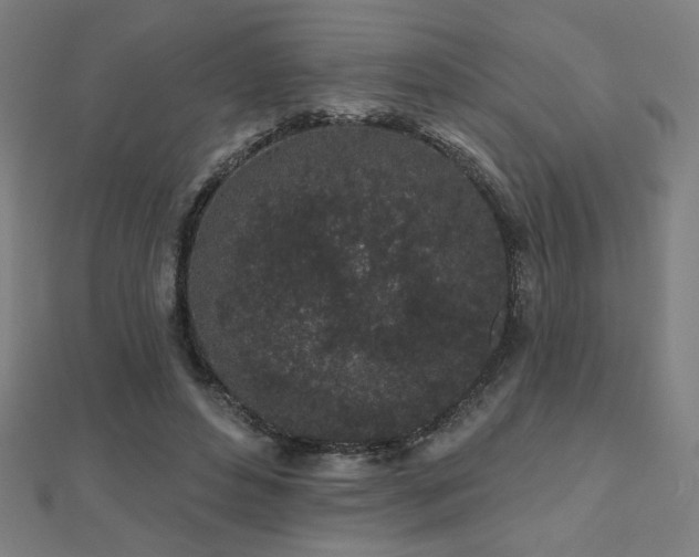 X0000112520496200908171358