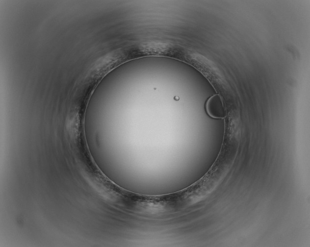 X0000112520498200908171358