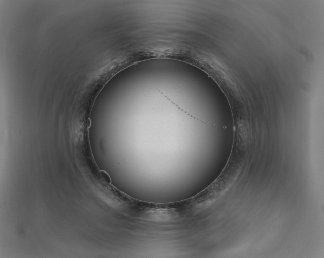 X0000112520499200908171357