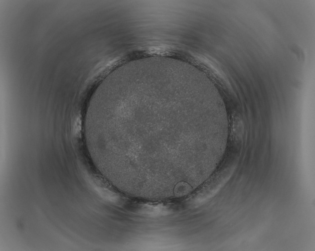 X0000112520502200908171357