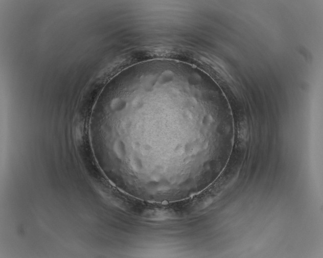 X0000112520503200908171357