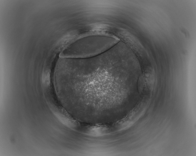 X0000112520504200908171357