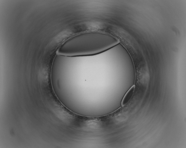 X0000112520505200908171357