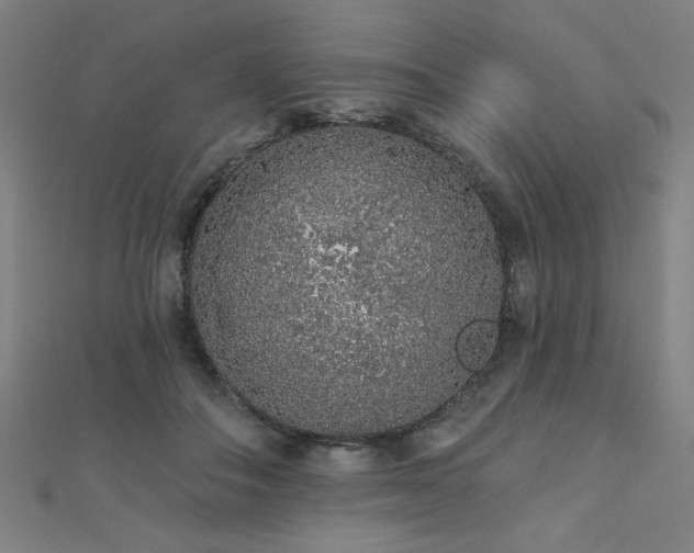 X0000112520506200908171357