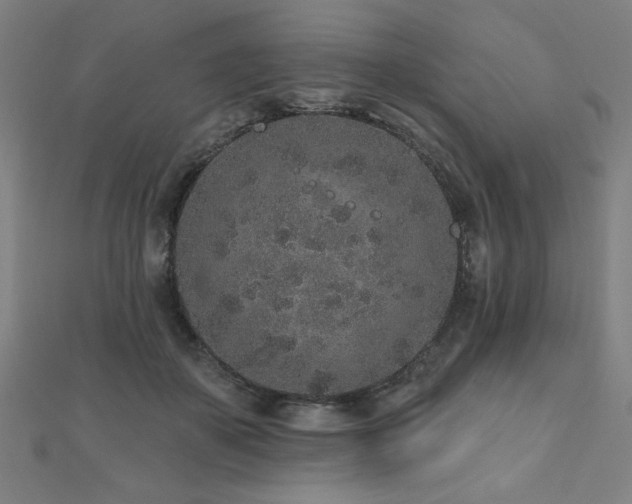X0000112520507200908171357