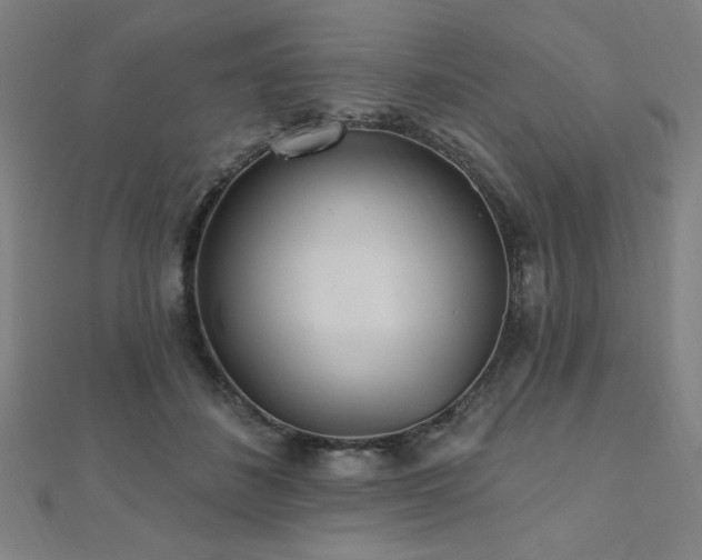 X0000112520508200908171357