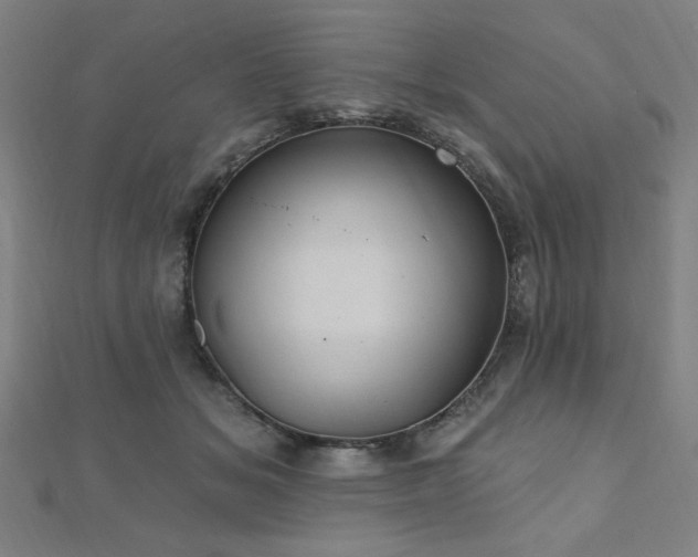 X0000112520509200908171357