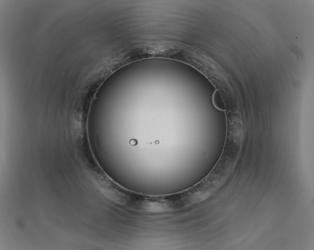 X0000112520510200908171357