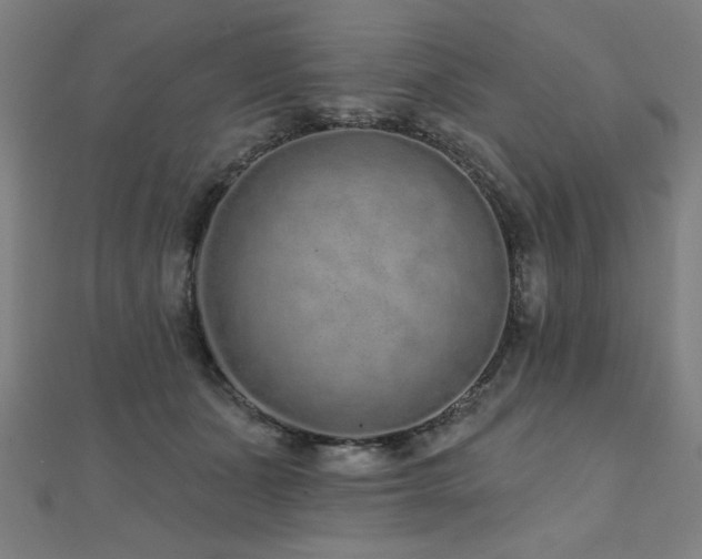 X0000112520511200908171357