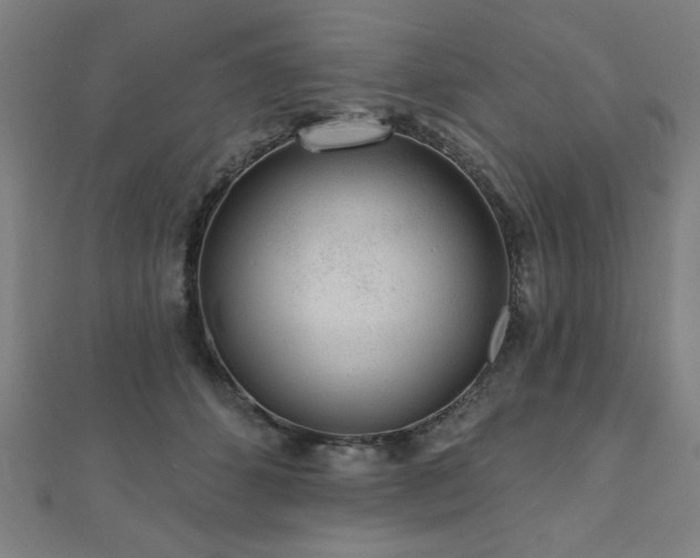 X0000112520512200908171357