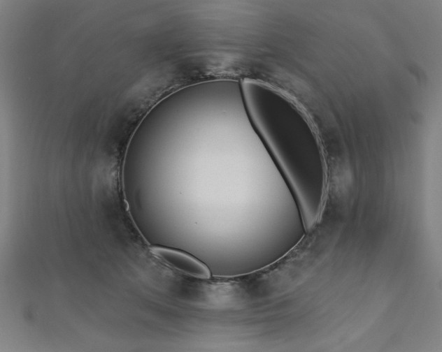 X0000112520513200908171357
