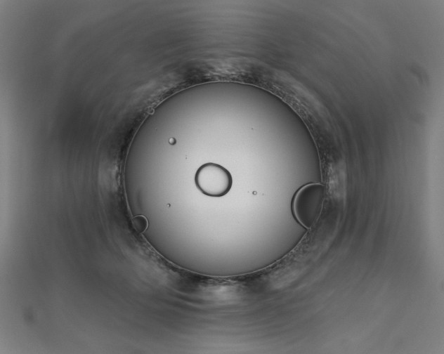 X0000112520514200908171357