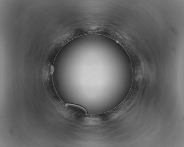 X0000112520515200908171357