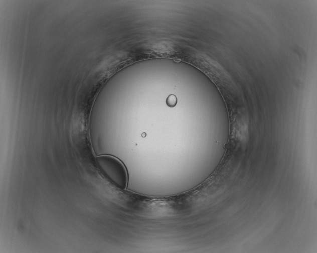 X0000112520518200908171357