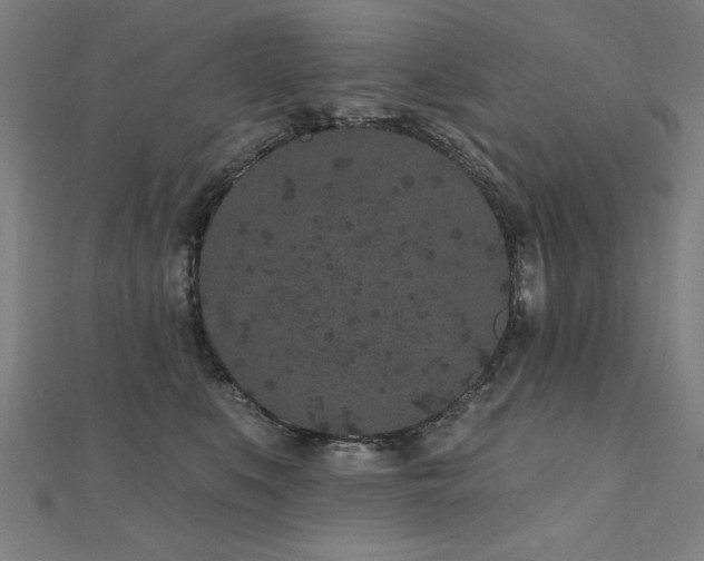 X0000112520519200908171357
