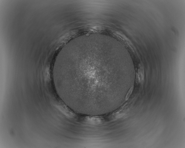 X0000112520520200908171357