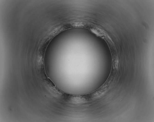X0000112520521200908171357