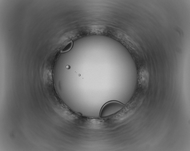 X0000112520522200908171357