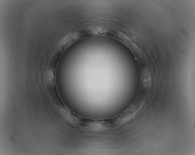 X0000112520523200908171357