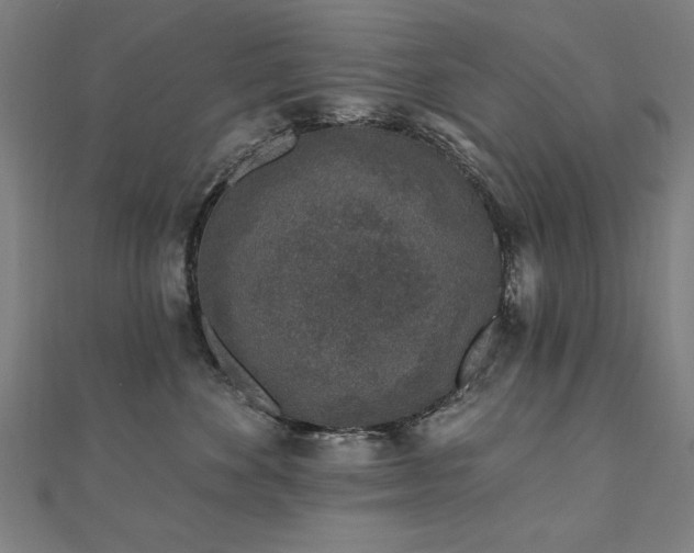 X0000112520524200908171357