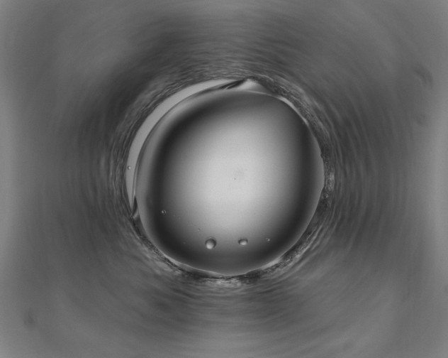 X0000112520525200908171357