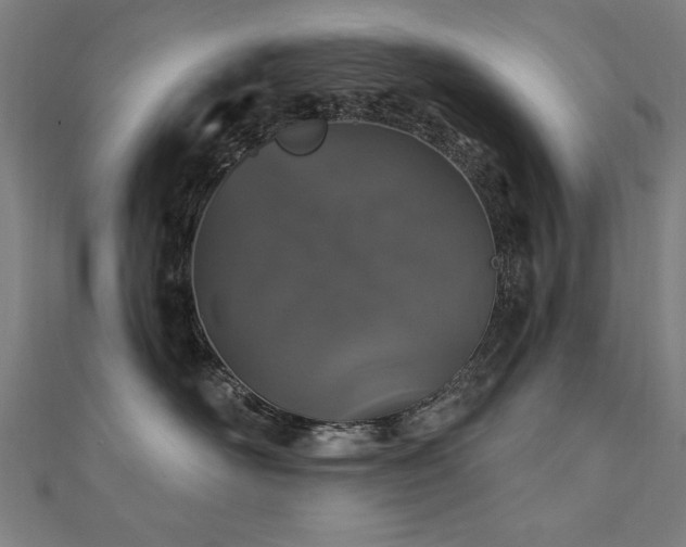 X0000112520526200908171357
