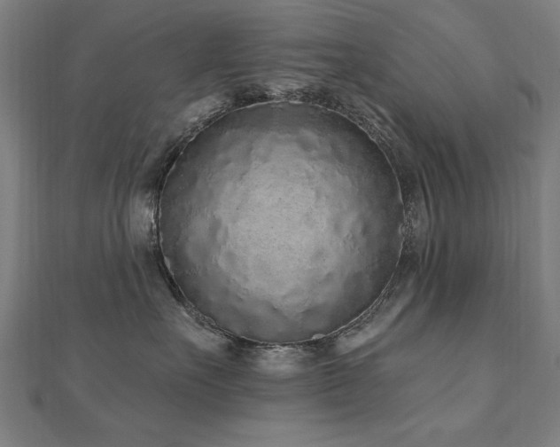 X0000112520527200908171357