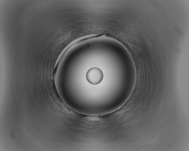 X0000112520528200908171357