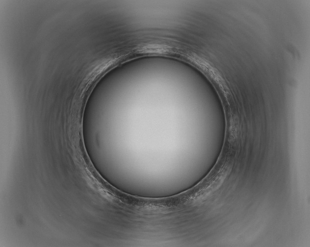 X0000112520529200908171356