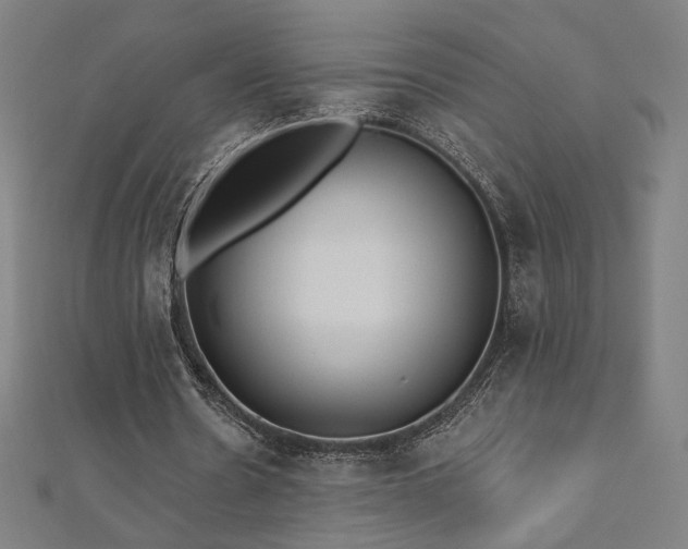 X0000112520530200908171357