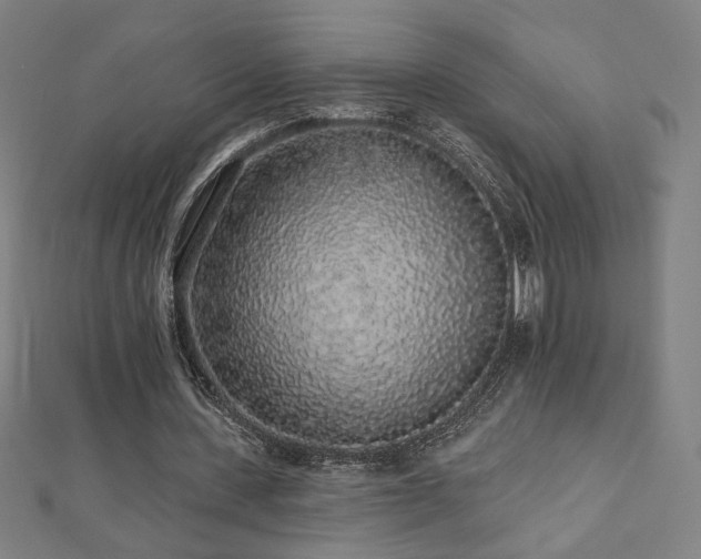 X0000112520531200908171357