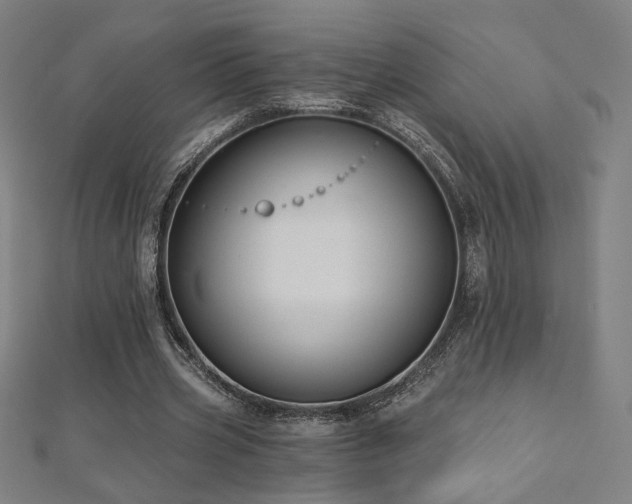 X0000112520533200908171357