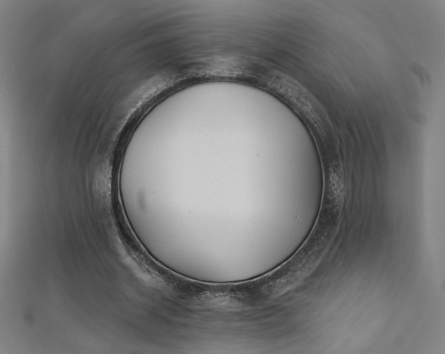 X0000112520534200908171357