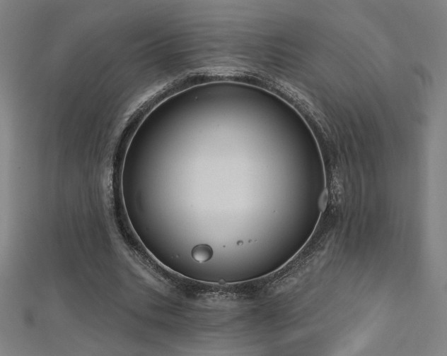 X0000112520535200908171357