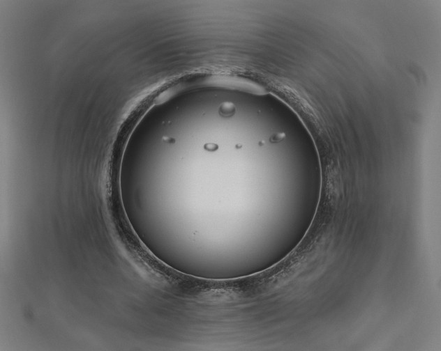 X0000112520536200908171357