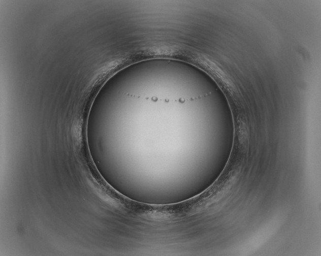 X0000112520537200908171357