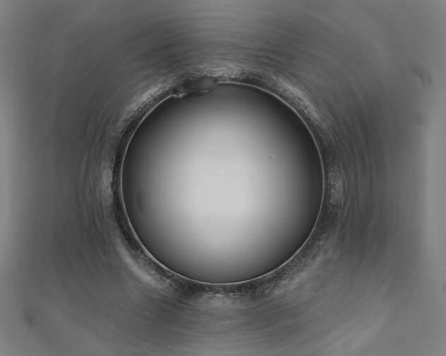 X0000112520538200908171357