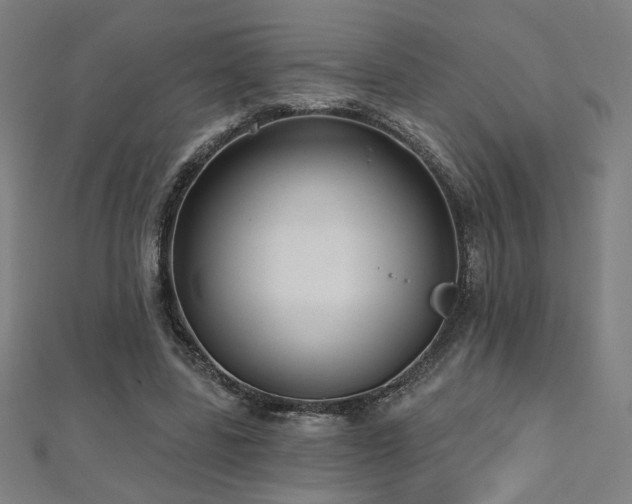 X0000112520539200908171357