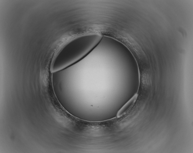 X0000112520540200908171357