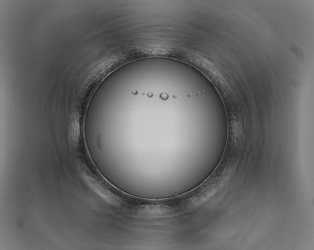X0000112520541200908171357