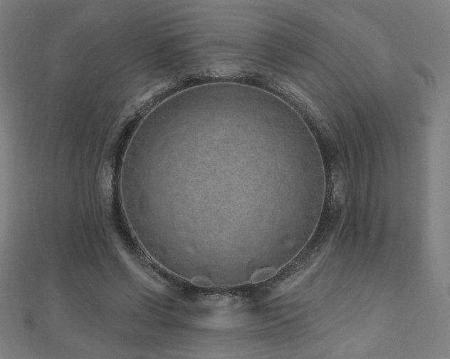 X0000112520542200908171357