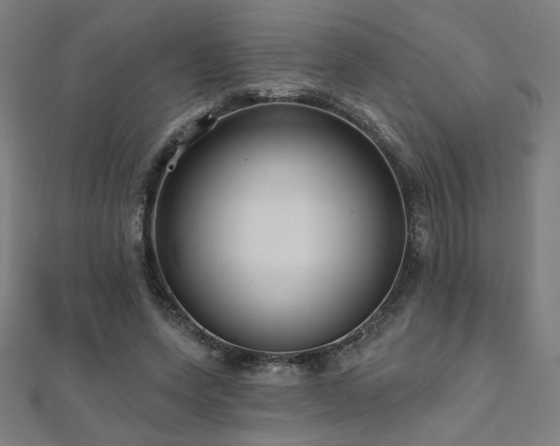 X0000112520543200908171357