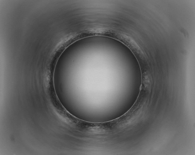 X0000112520544200908171357