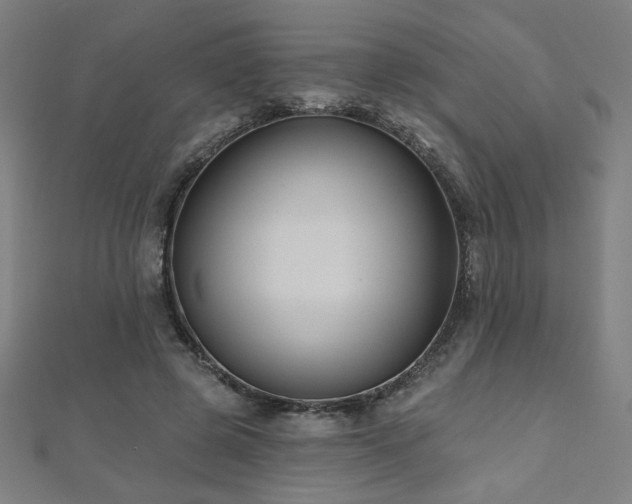 X0000112520545200908171357
