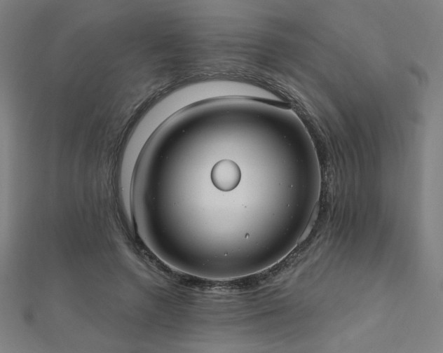 X0000112520546200908171357