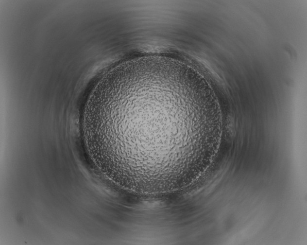 X0000112520547200908171357